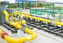 3.42 lakh new PNG connections gasified as drive picks up pace