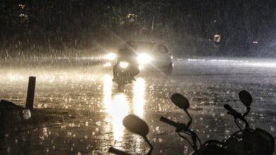 Hailstorms lash Rajasthan, IMD warns of severe storms​