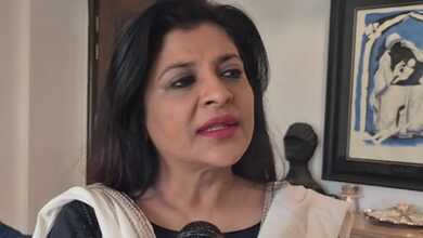 ‘Kejriwal insecure’, ‘AAP is liphafa party’: BJP on Raghav Chadha row