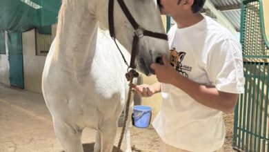 Randeep Hooda dotes on his horses Hope and Veer, tags them as ‘pure heart’