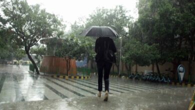 Met dept warns of heavy rain, hailstorm across Rajasthan today
