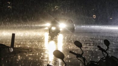 Hailstorm, heavy rains lash MP, farmers suffer crop losses​