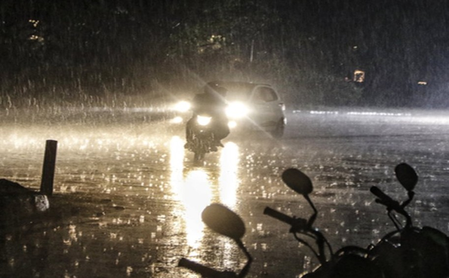 Hailstorm, heavy rains lash MP, farmers suffer crop losses Hailstorm, heavy rains lash MP, farmers suffer crop losses