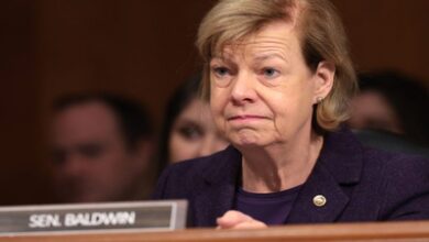 US senators warn on Chinese autos threat US senators warn on Chinese autos threat