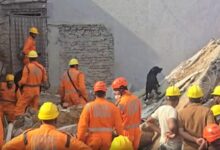 MP building collapse: Three pulled alive as search continues for others feared buried; probe launched