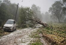 Hailstorm, strong winds batter MP; deaths reported, several injured