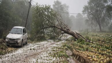 Hailstorm, strong winds batter MP; deaths reported, several injured