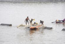 India’s annual fish production doubles over 10 years