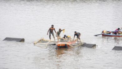 India’s annual fish production doubles over 10 years India’s annual fish production doubles over 10 years