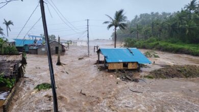 Tropical cyclone warnings issued for Papua New Guinea, Solomon Islands Tropical cyclone warnings issued for Papua New Guinea, Solomon Islands