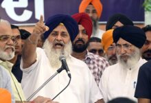 Akali Dal to help farmers for crop damage in Punjab rains