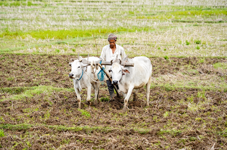 92 pc monsoon forecast, 35 pc deficit risk cloud FY27 farm outlook