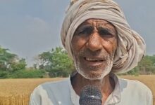 Unseasonal rains wreak havoc on crops across states, farmers face massive losses