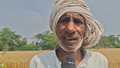 Unseasonal rains wreak havoc on crops across states, farmers face massive losses