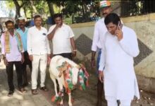 Karnataka bypolls: Voting crosses 20 pc in first four hours; Cong candidate brings a ram near polling booth