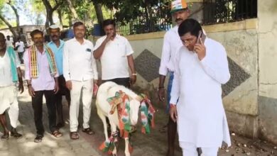 Karnataka bypolls: Voting crosses 20 pc in first four hours; Cong candidate brings a ram near polling booth