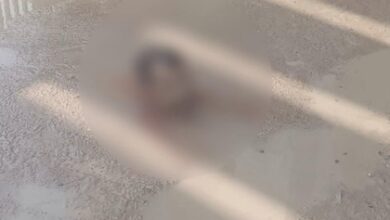 Beheading incident: Tejashwi Yadav slams Nitish Kumar, says law and order completely collapsed