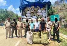 Assam Rifles seizes smuggled haul of rare medicinal plant in Mizoram, apprehends three