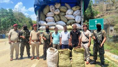 Assam Rifles seizes smuggled haul of rare medicinal plant in Mizoram, apprehends three