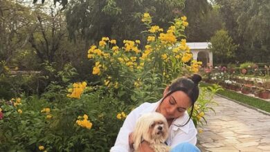 Sonakshi Sinha soaks in calm and greenery, calls it ‘Nature-o-pathy’