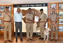 Gujarat Police dog ‘Check’ wins gold after 16-year gap at National Duty Meet in Nagpur