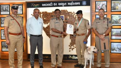 Gujarat Police dog ‘Check’ wins gold after 16-year gap at National Duty Meet in Nagpur