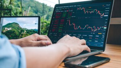 Nifty, Sensex trim losses amid last leg buying; defence stocks shine Nifty, Sensex trim losses amid last leg buying; defence stocks shine