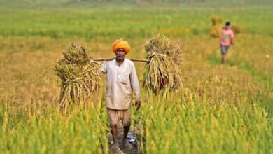 Digital agri push: e-NAM integrates 1,656 mandis, facilitates Rs 4.84 lakh crore trade Digital agri push: e-NAM integrates 1,656 mandis, facilitates Rs 4.84 lakh crore trade