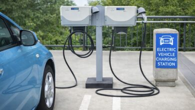 Centre speeds up EV, critical minerals push to cut oil reliance​