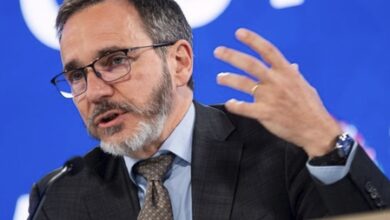 Dollar retains safe-haven status: IMF​