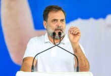 Rahul Gandhi to address rallies across Tamil Nadu on April 18