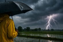 Andhra govt ties up with NRSC to improve lightning alerts, cut deaths
