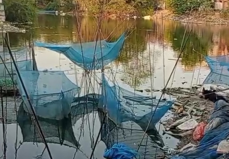 Biofloc Technology boosts fish farming in Palamu under PMMSY, farmers see rise in income Biofloc Technology boosts fish farming in Palamu under PMMSY, farmers see rise in income