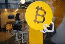 India’s technology talent key in global crypto race