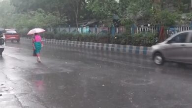 Thunderstorms with gusty winds forecast over Kolkata, south Bengal Thunderstorms with gusty winds forecast over Kolkata, south Bengal