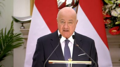 ‘Voice of India carries lot of weight bilaterally and in international forums’: Austrian Chancellor Stocker