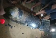 Another World War II-era bomb found along riverbank in Jamshedpur, third recovery in a month sparks panic