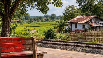 How the colour red has faded over time in West Bengal’s Naxalbari How the colour red has faded over time in West Bengal’s Naxalbari