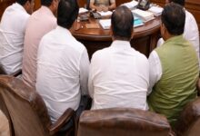 RJD delegation meets Bihar DGP over Muzaffarpur killing, seeks action