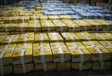 Gujarat: Massive adulterated ghee racket busted in Surat, 2 arrested ​