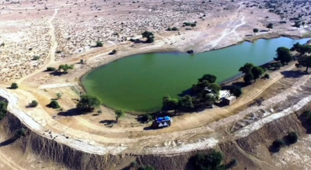 Raj govt launches initiative for ‘Oran’ conservation in Jaisalmer, 3,666 hectares of land reserved to preserve groves