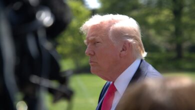 Trump signs order to fast-track psychedelic therapies