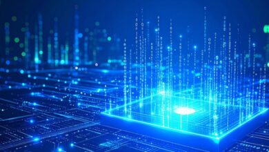 India–Singapore semiconductor push gains pace; Industry meet eyes new investments