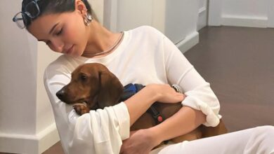 Tara Sutaria spends the weekend cuddling with her fur babies