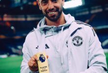 ‘He is the best player in Premier League’: Hargreaves lauds Bruno Fernandez as Man Utd close to UCL return