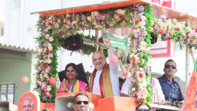 Centre seeks to increase TN seats, move blocked by DMK-Cong, says Amit Shah at TN rally
