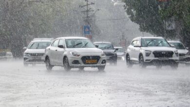 Isolated thunderstorms likely in few districts, heatwave to continue in MP