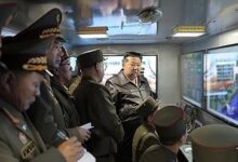 North Korea tests cluster bombs in latest ballistic missile launch