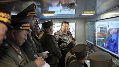 North Korea tests cluster bombs in latest ballistic missile launch