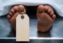 Another snake spotted in grieving home hours after boy dies by snakebite